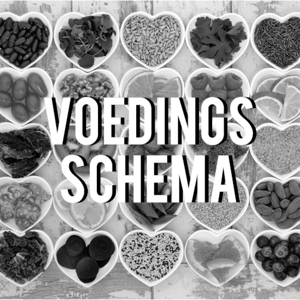 voedingsschema op maat gratis